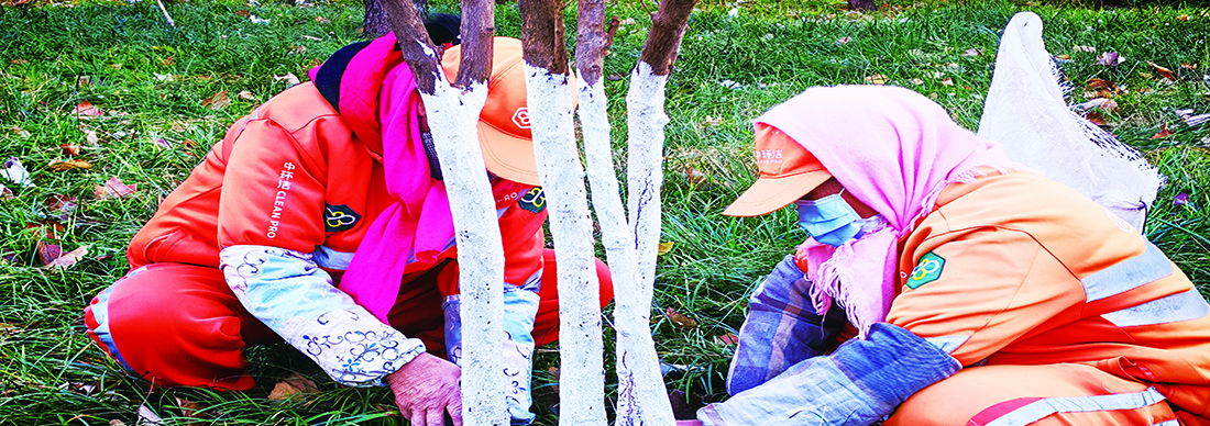 精做“冬护”文章　筑牢城市绿色屏障